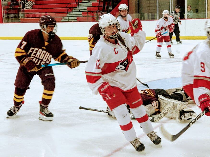 Cardinals Come Up Short In Girls Hockey Sports Willmarradio Com Cardinals Come Up Short In Girls Hockey Sports Willmarradio Com