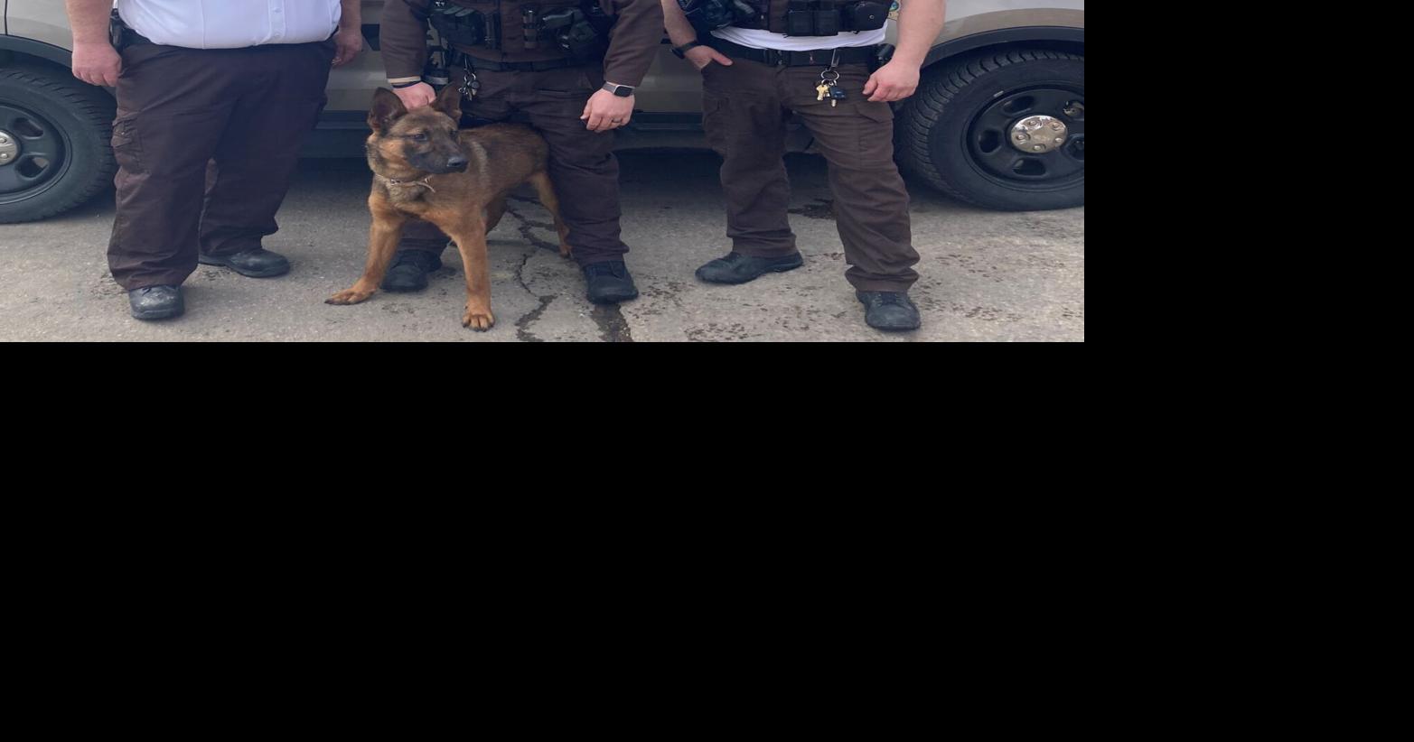 Swift County deputy resigns, wants to keep the county's K9 officer.