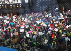 Protestors