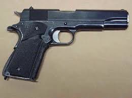 Gun