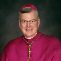 Investigation shows former bishop Neinstedt acted 