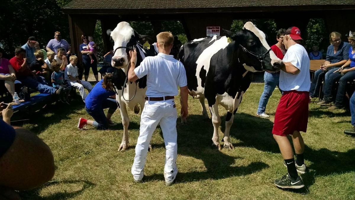 Lakeland Broadcasting team competes at cow milking contest at Kandiyohi