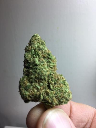 Super bud