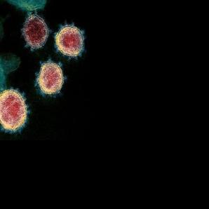 Healthcare professional holding a COVID-19 sample in a laboratory setting