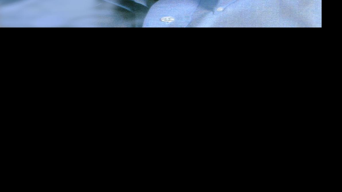 James Jensen Obituaries