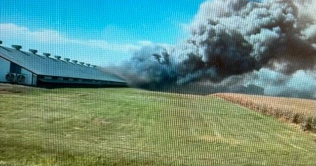 30,000 turkeys die in Renville County barn fire | News | willmarradio.com