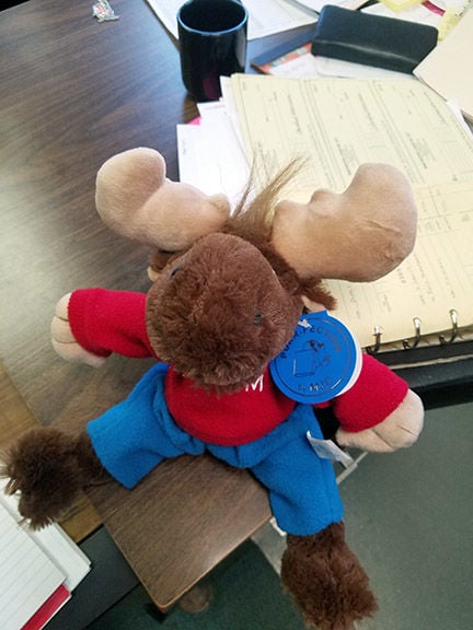 tommy moose stuffed animal