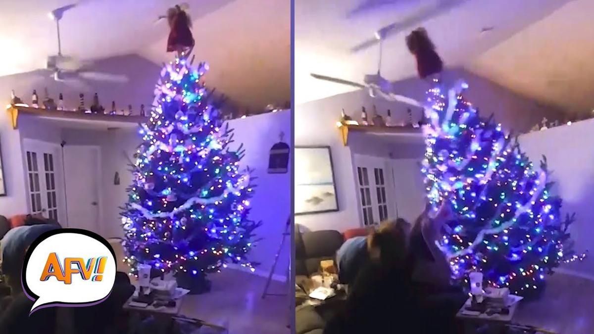Funny and Cute Christmas Tree Fails | AFV Funniest Fail Videos | |  