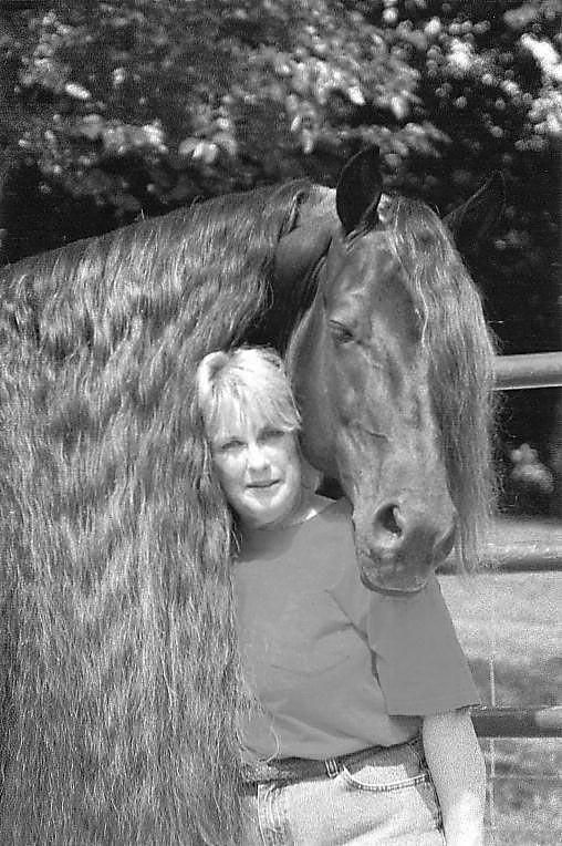dobbin rocking horse