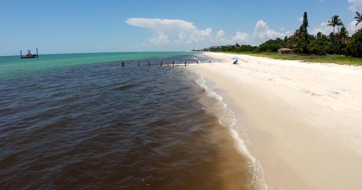 Construction sediment turns Naples Beach water brown, city responds