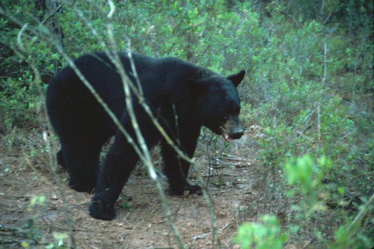 6673085293_b5e7bdf98f_h.jpg