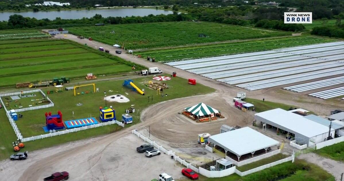 Southwest Florida farmers face crop challenges after winter freezes