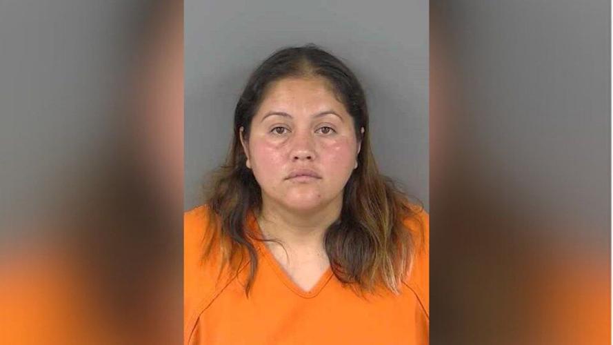 Immokalee woman accused of leaving puppy in hot truck for over an hour |  Collier County