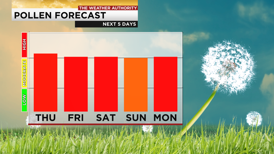 WINK | News and Weather in Southwest Florida