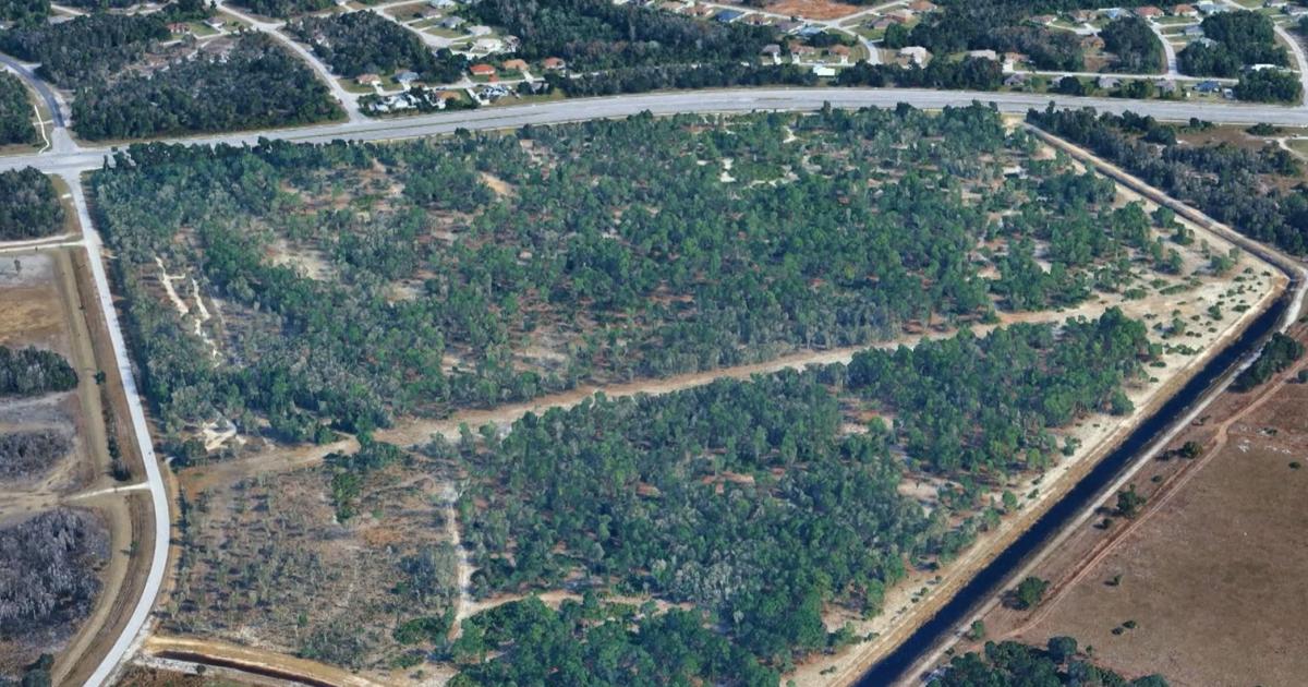 Major retailers planned for eastern Lee County project