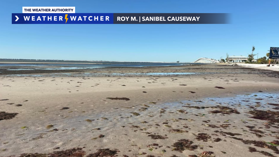 Low Tide