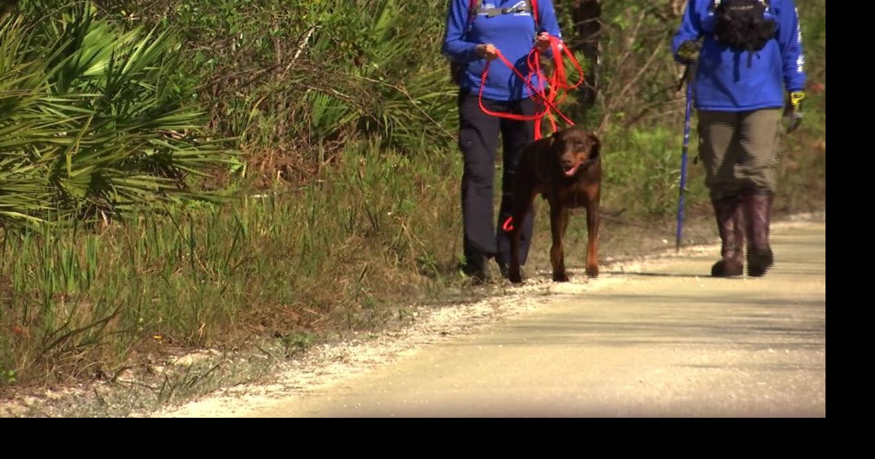 www.winknews.com