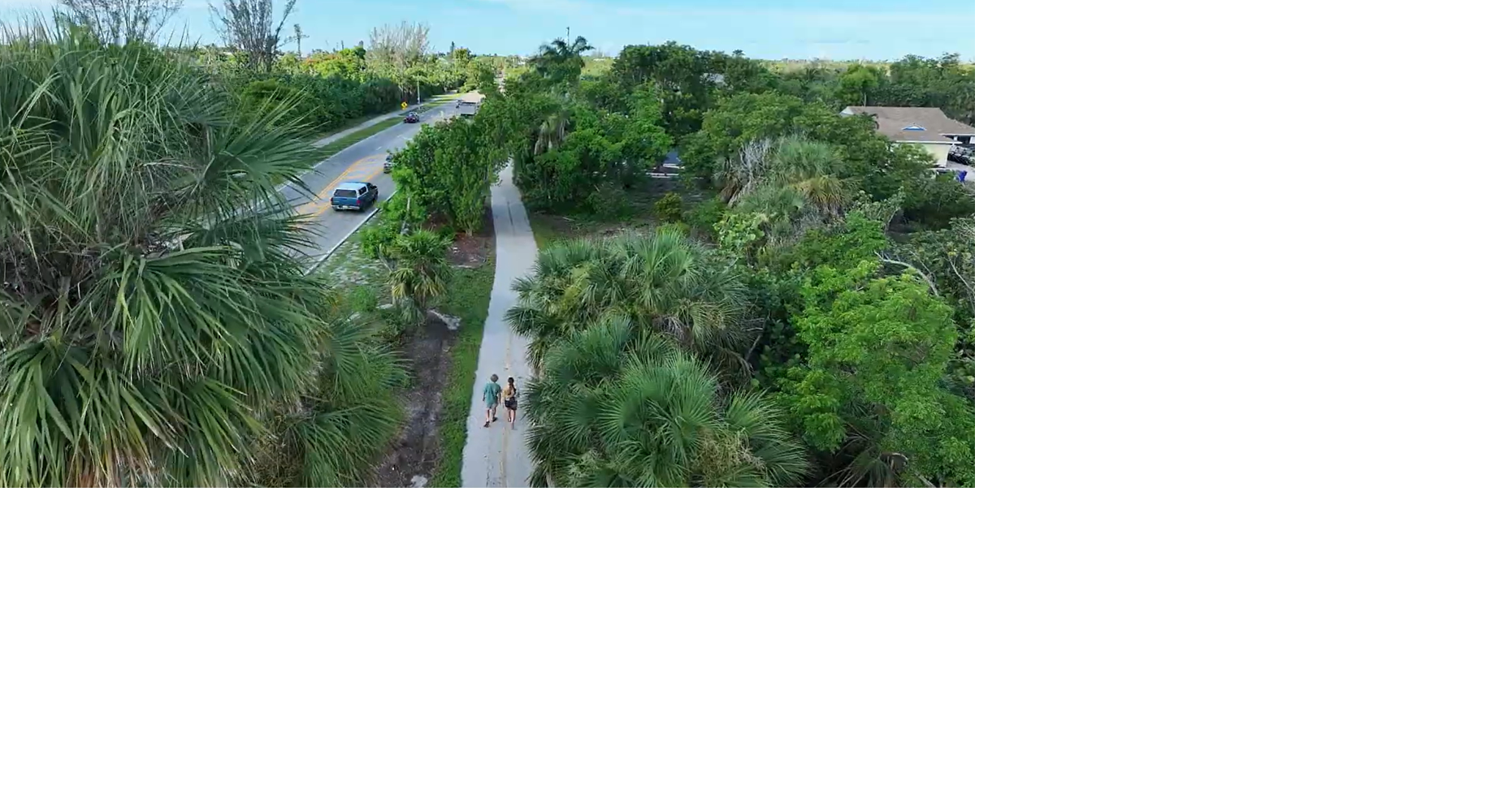 Sanibel's Roots in Resilience project replants native trees lost to hurricanes