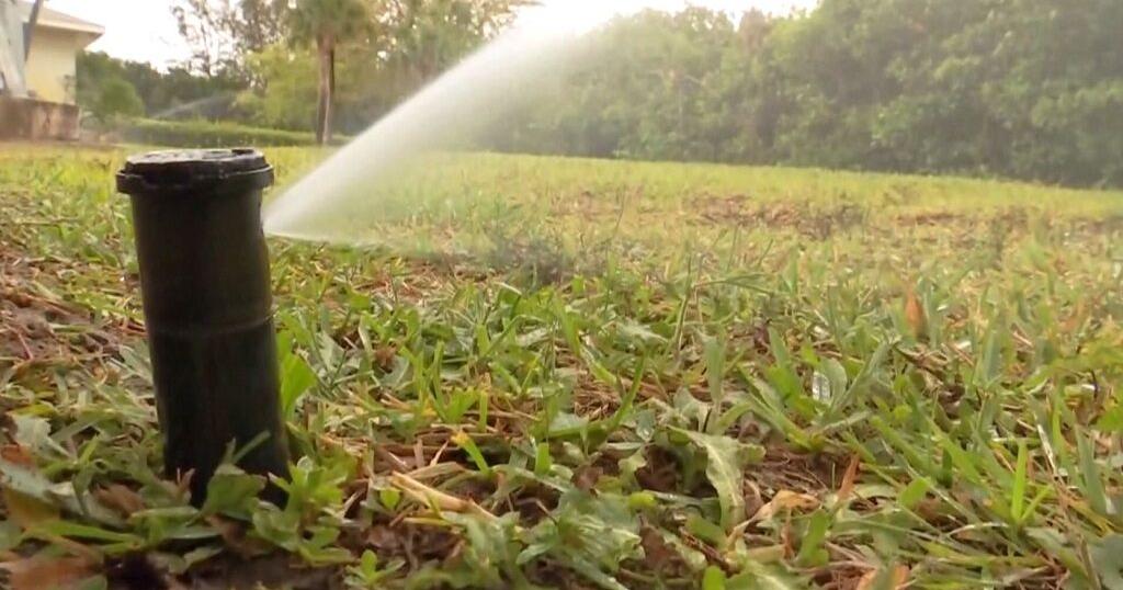 Cape Coral eases watering restrictions as aquifer levels improve