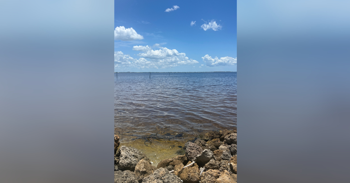 www.winknews.com