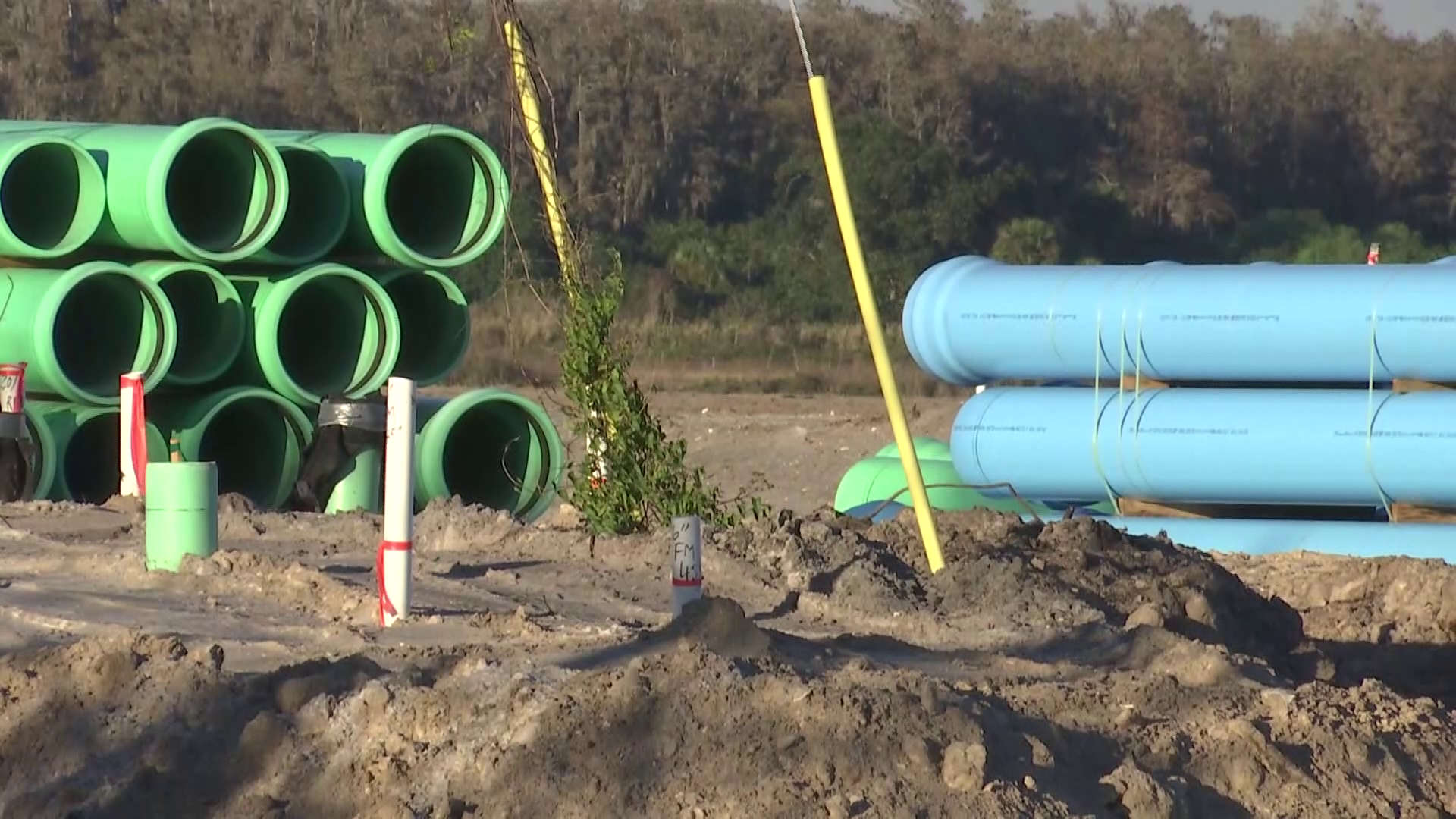 Eastern Collier development sparks lawsuit over panther habitat risk ...