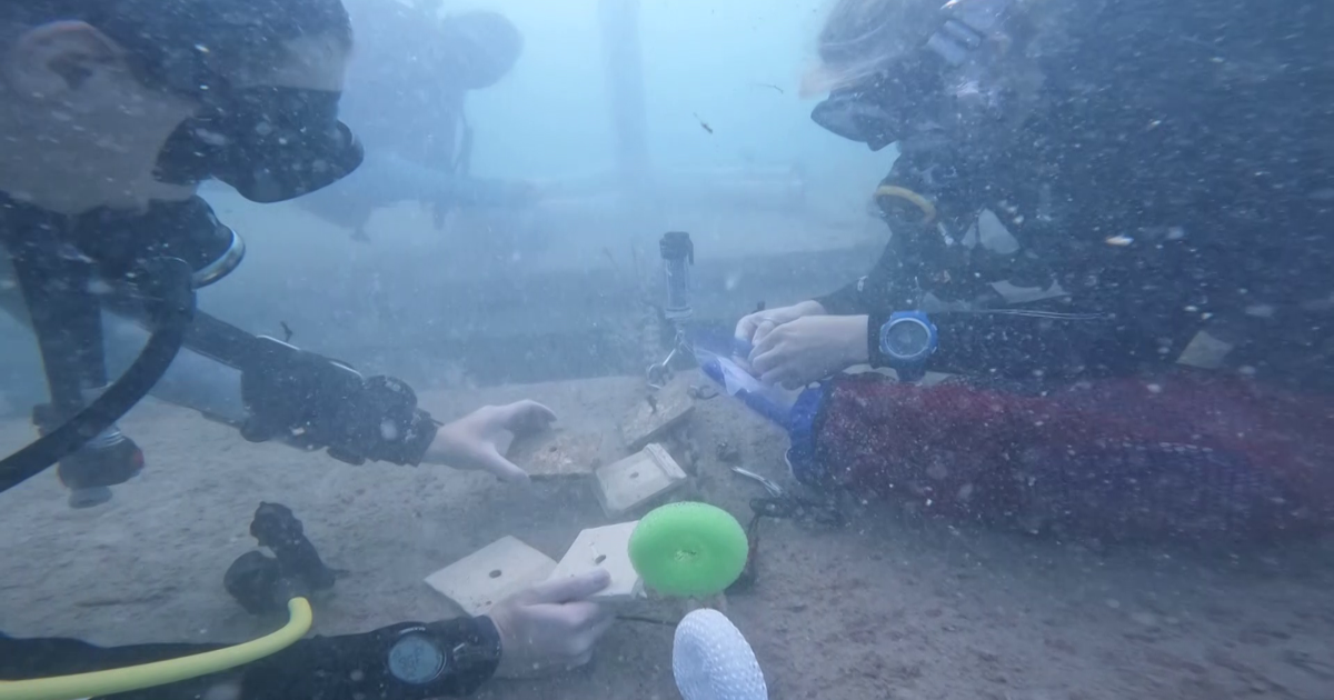 Artificial coral reef off Bonita Beach hub for marine life and