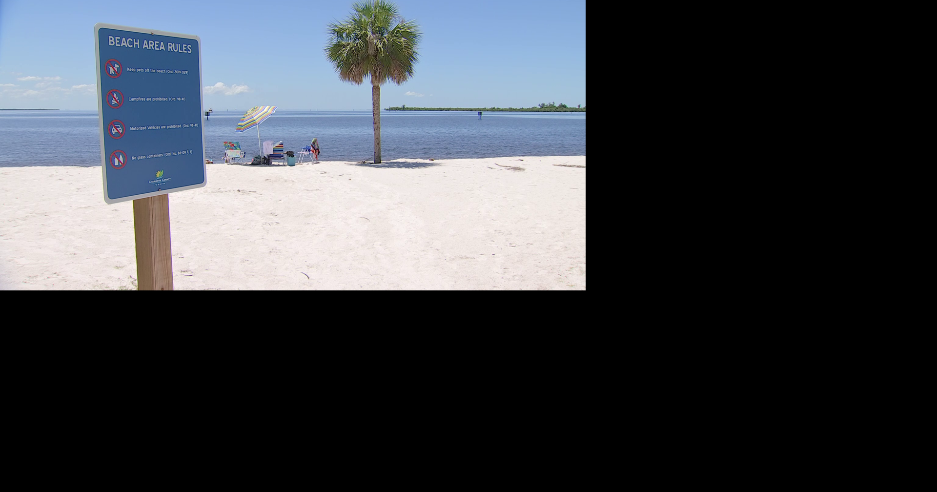 Florida man charged with 4 counts of assault after pulling gun at Port Charlotte beach