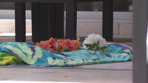 North Naples infant dies after drowning in vacation rental pool