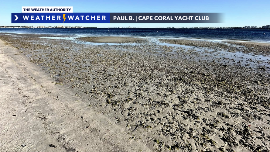Low Tide