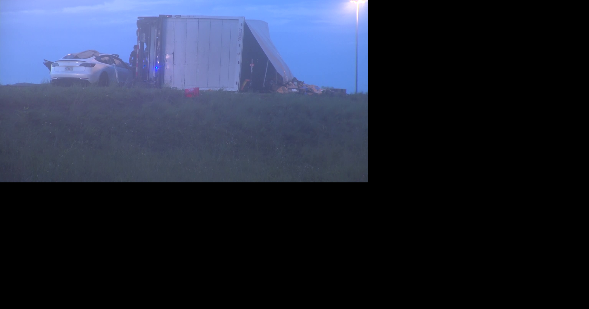Tesla driver's aunt speaks out after deadly I-75 crash in Collier County