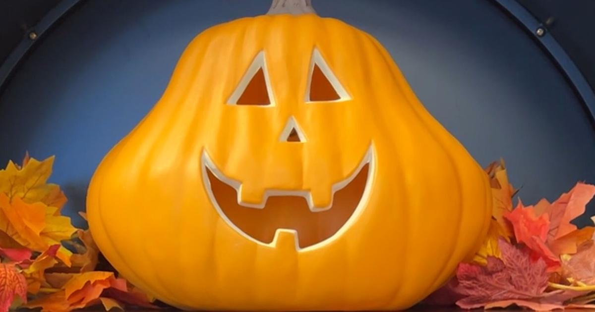 What to do in Southwest Florida on Halloween night