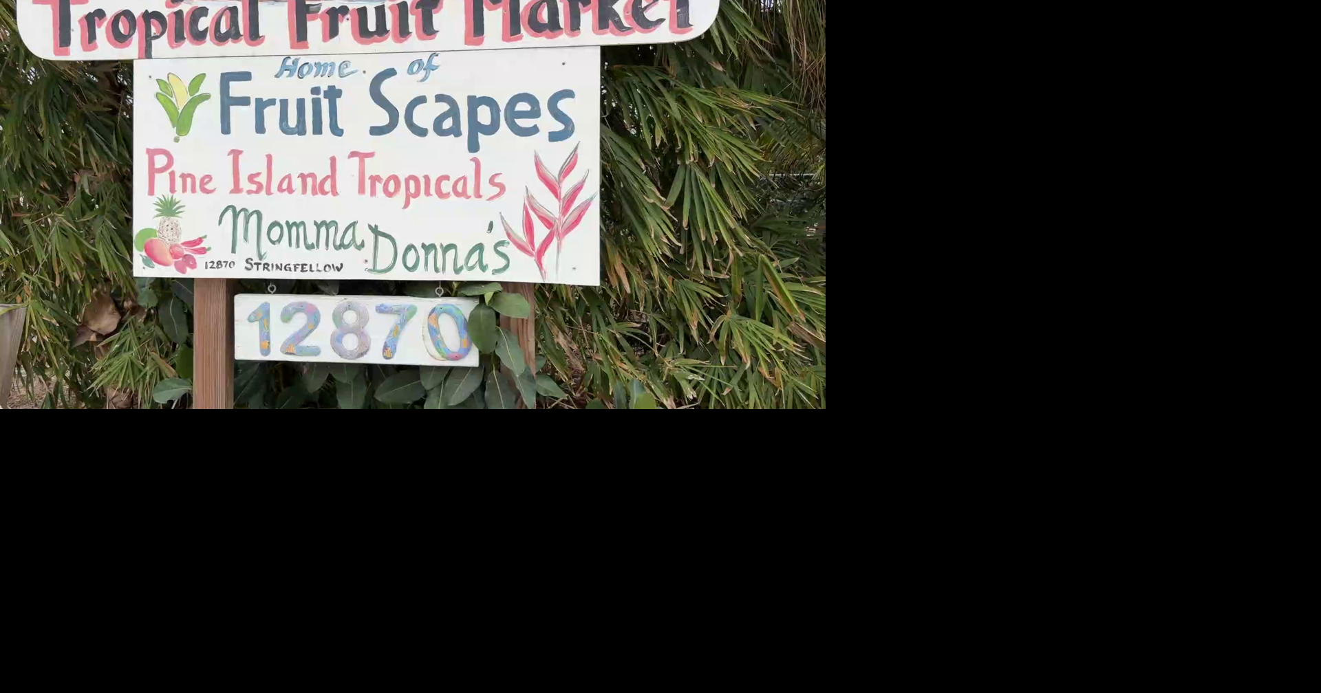 Florida farmer fights to protect tropical fruits from freezing temperatures