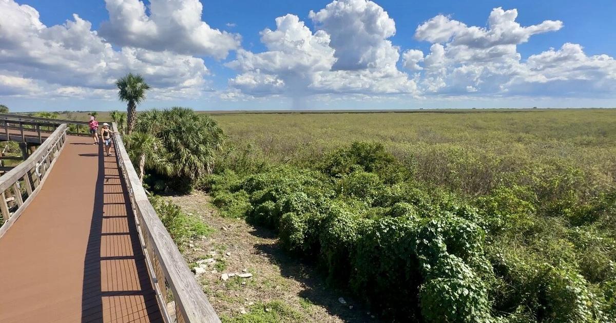 Everglades Elevated Boardwalk offers unique escape off I-75 for travelers