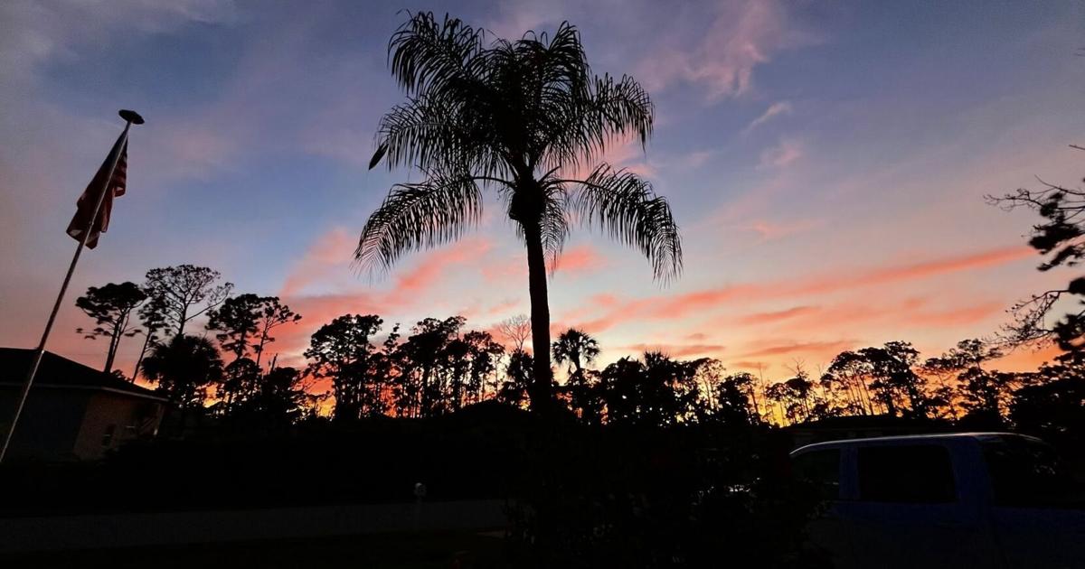 WW 11.11.25 | Weather Watcher Photos | winknews.com