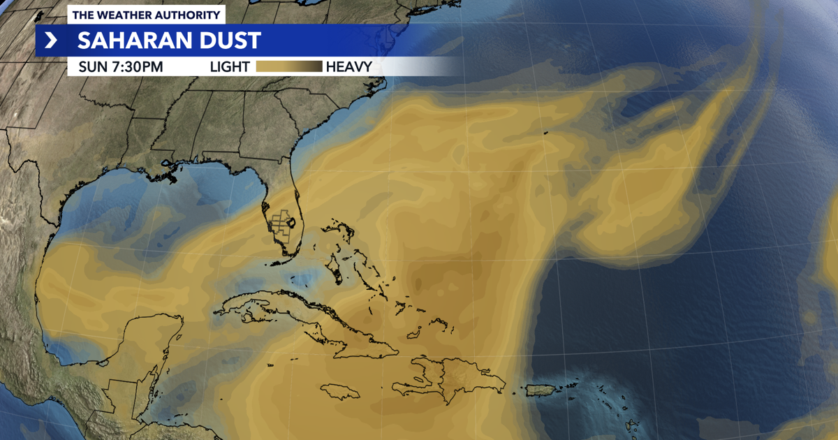 The Anatomy of a Saharan Dust Storm and Transatlantic Implications