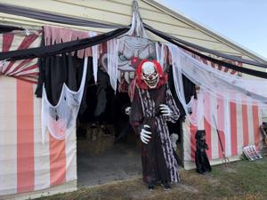 Southwest Florida Horse Rescue Organizes Haunted Walk