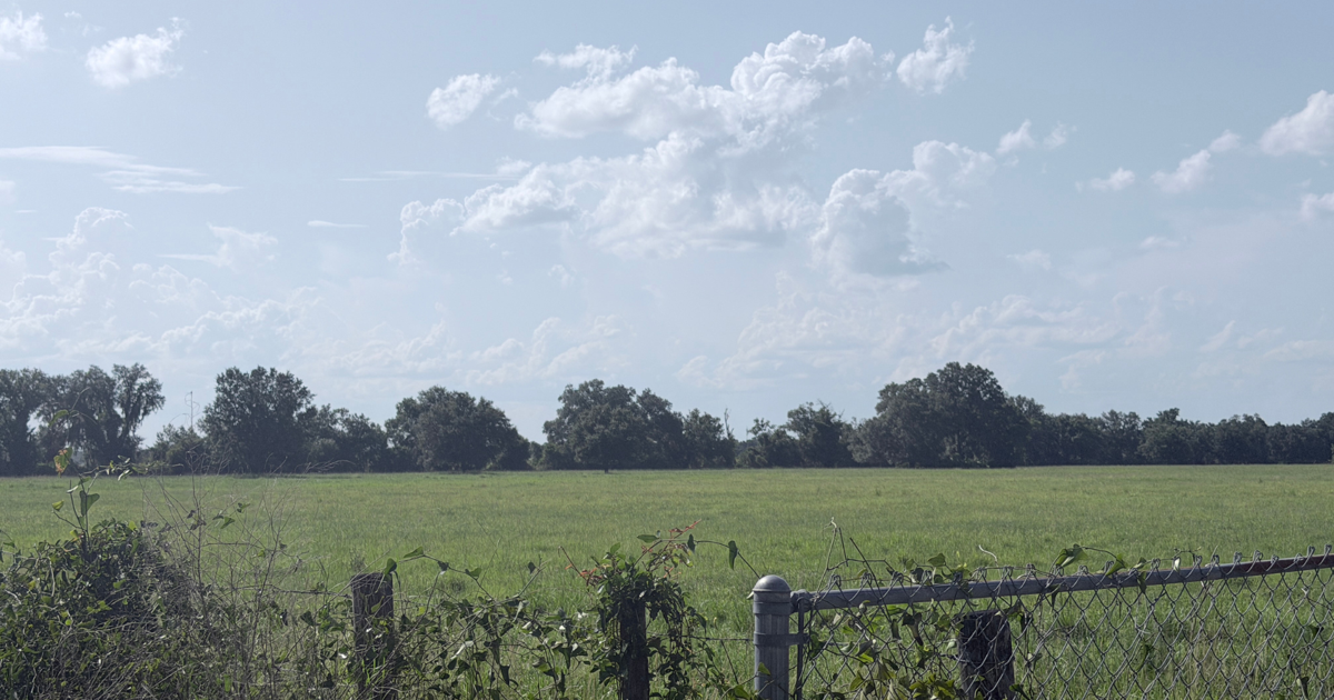 DeSoto Planning Commission recommends stronger data center moratorium