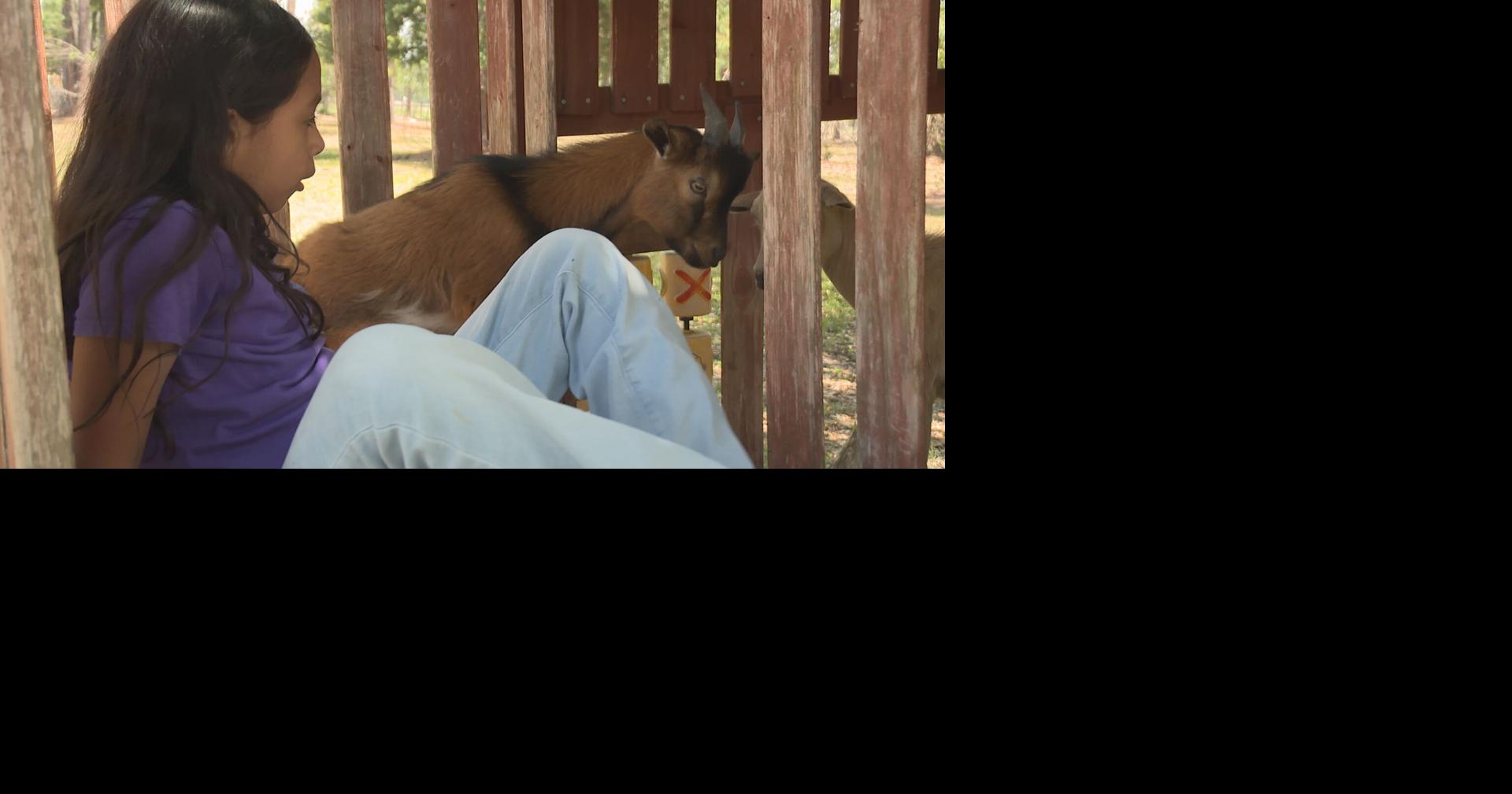 Where healing begins – A mother’s farm for autism support 