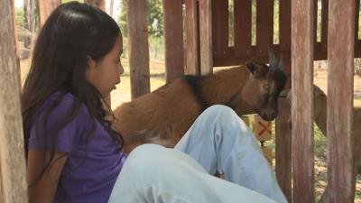 Where healing begins – A mother’s farm for autism support 