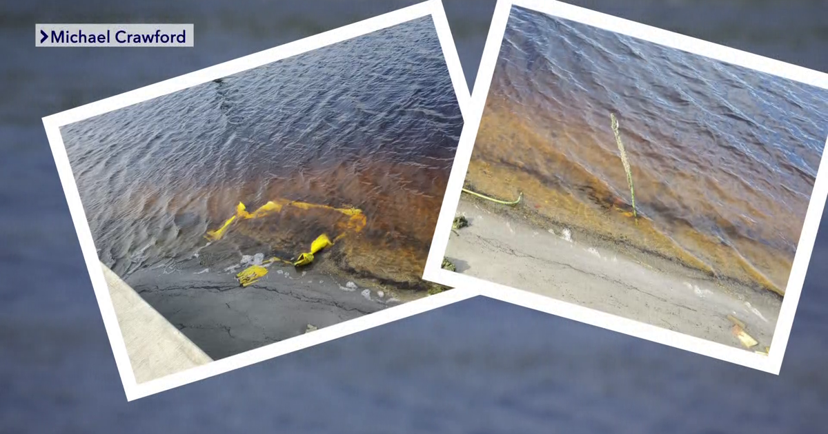 Seawall dispute: retired first responder’s $30K fix sparks battle over quality and trust