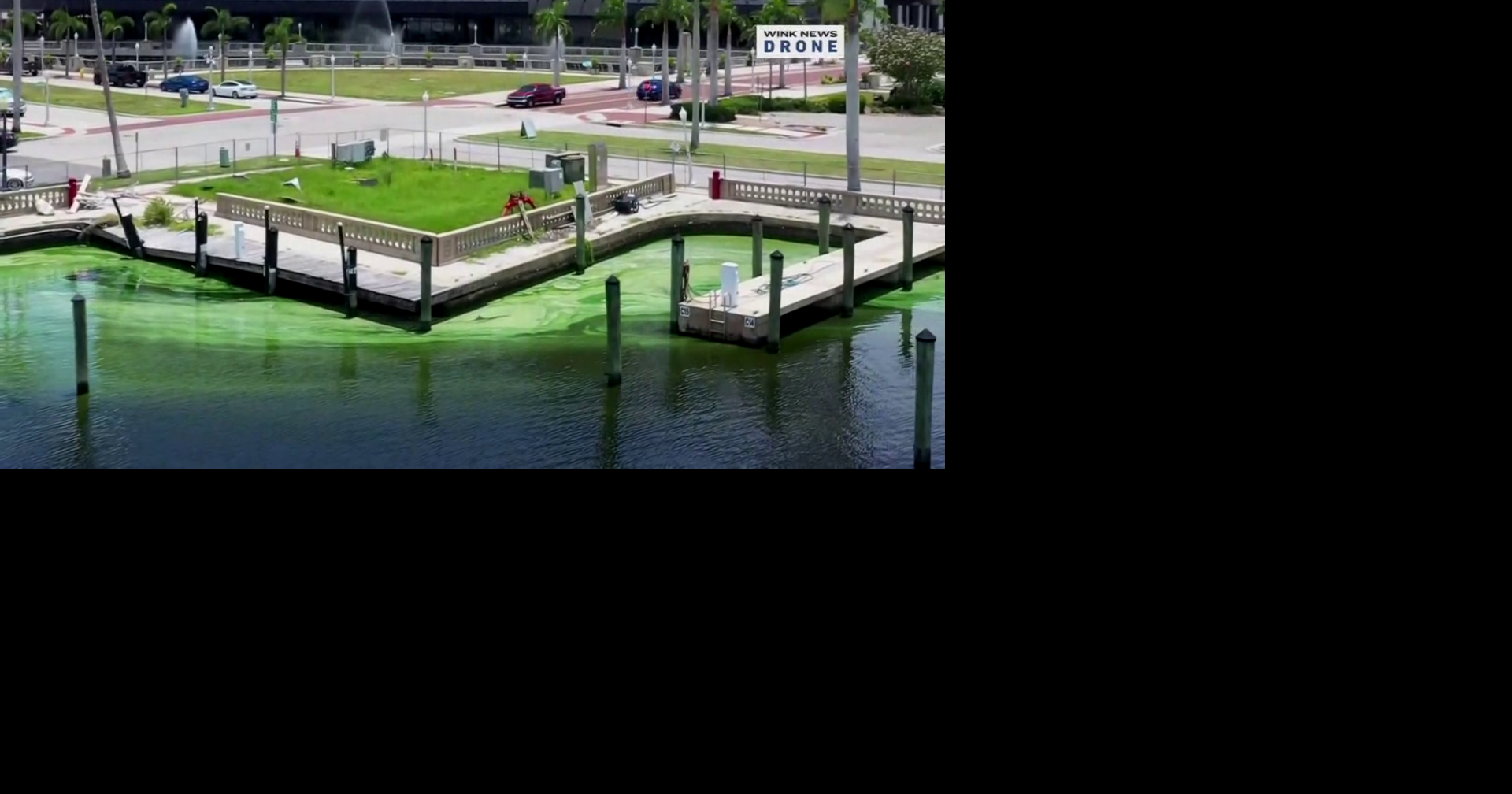 Water experts examine how algal toxins may affect brain health in SWFL