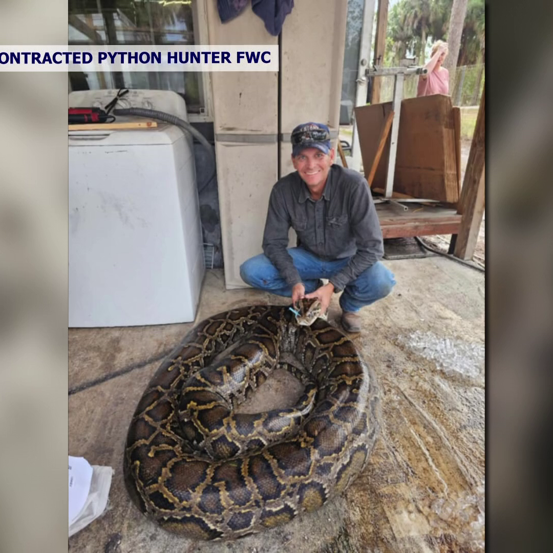 Florida Hunter Captures Record-Breaking 202-Pound Python