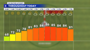 Fort Myers-Naples Area Forecast: Clear Sunday, Wetter Pattern Ahead