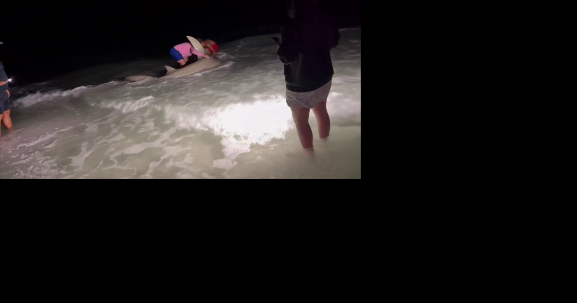 Shark fishing sparks heated debate among Marco Island beachgoers