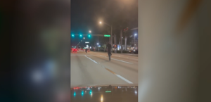 Motorcyclists Observed Performing Stunts on U.S. 41