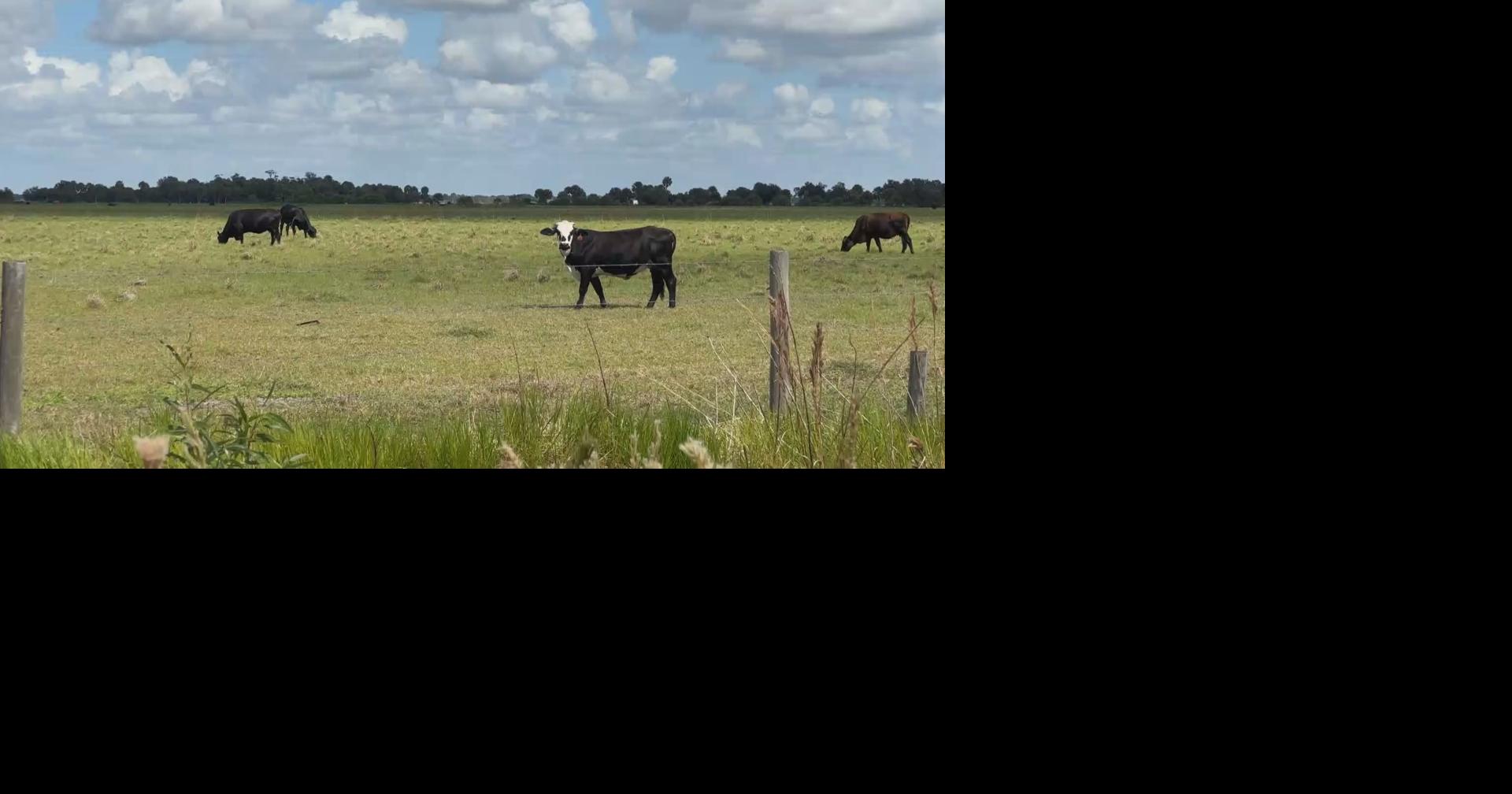 Charlotte County neighbors see hope in Florida Farm Bill