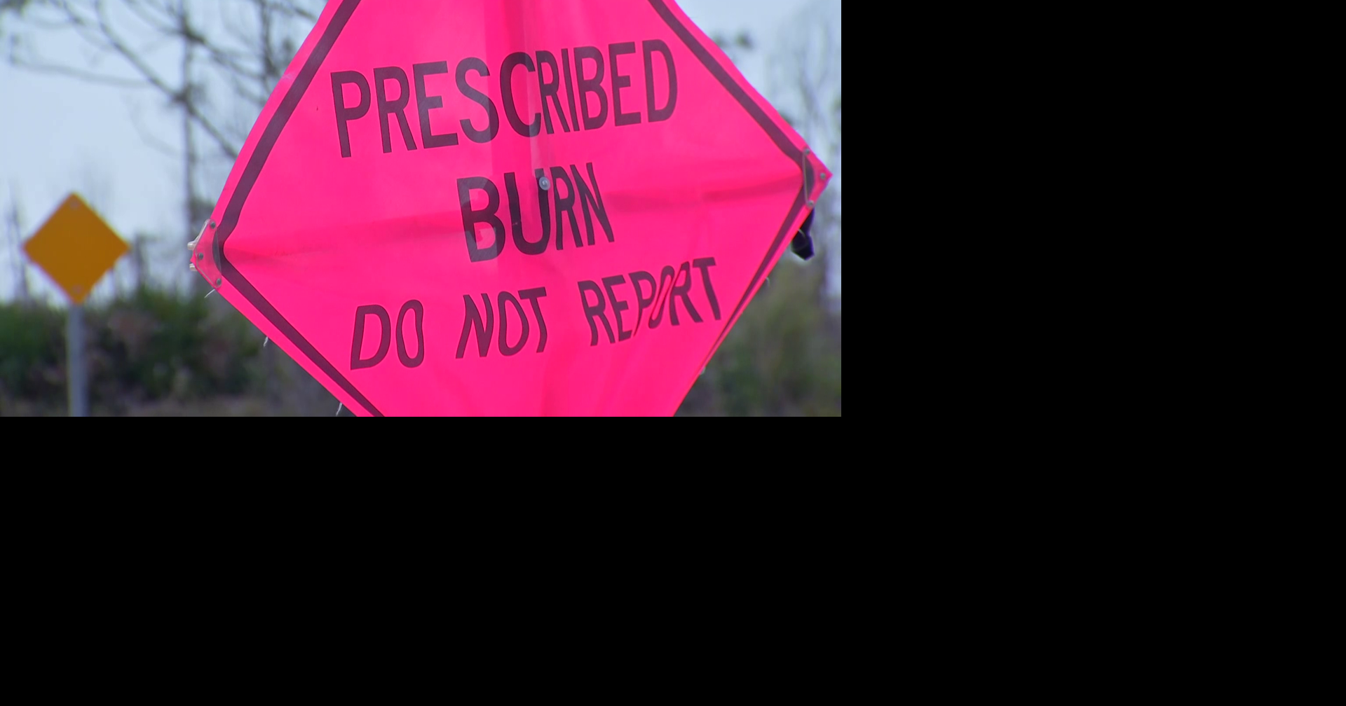 FDEP conducts prescribed 40-acre burn in Estero Bay Preserve | Lee ...
