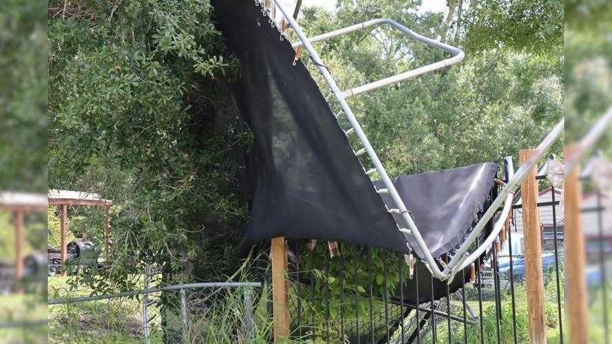 trampoline.jpg
