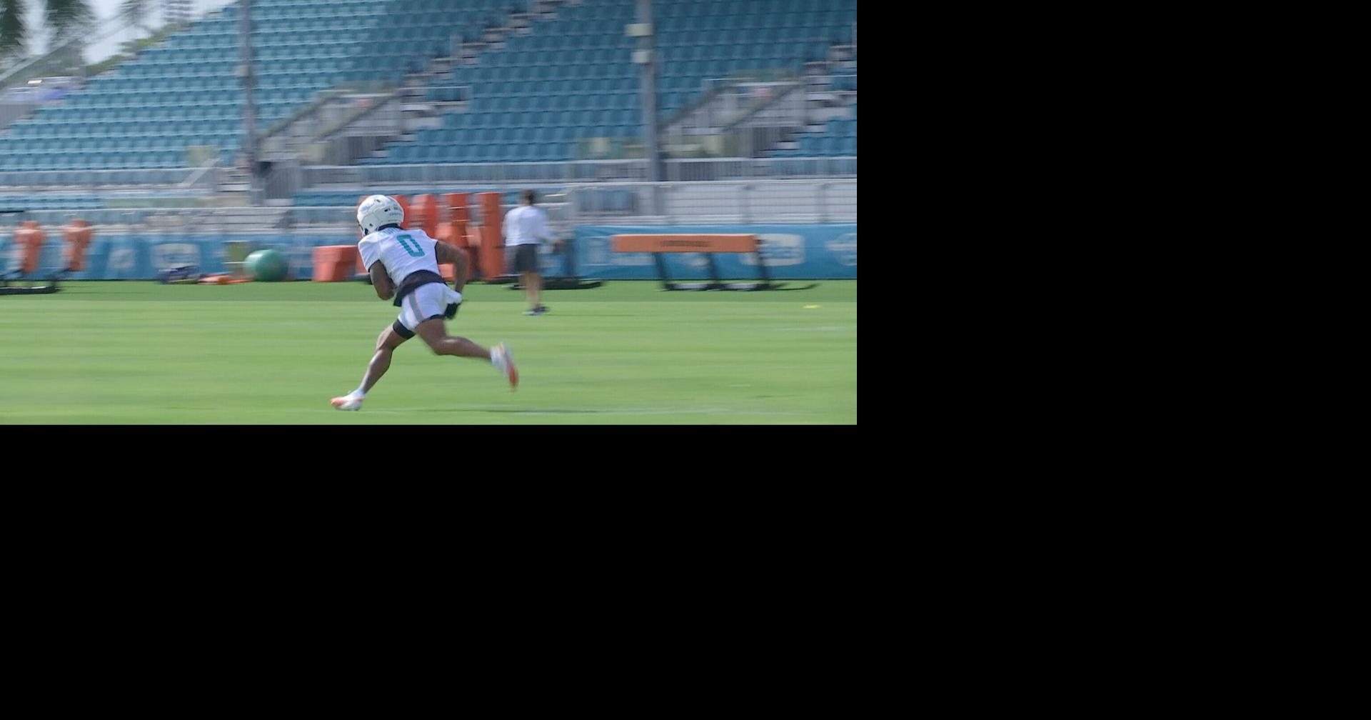 Dolphins set high expectations as regular season approaches