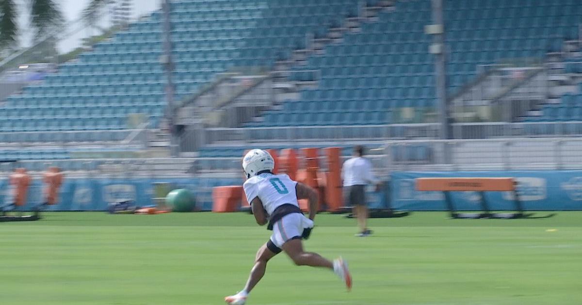 Dolphins set high expectations as regular season approaches